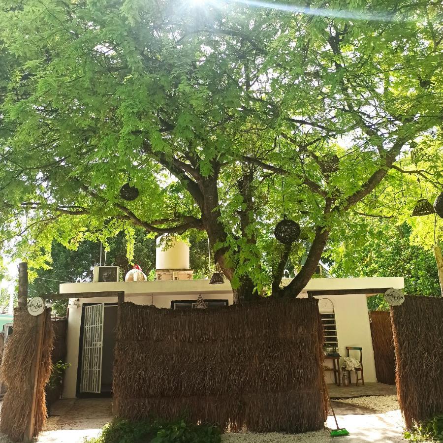 Casa Arte Bacalar Apartment Bagian luar foto